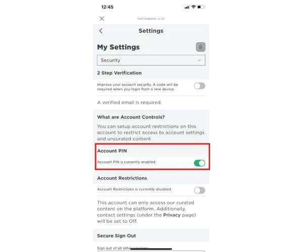 Protecting Your Roblox Account Through Essential Security Best Practices